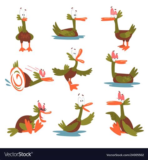 Funny Male Mallard Duck Set Comical Bird Cartoon Vector Image