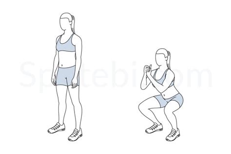 Squat Illustrated Exercise Guide Shred Workout Push Workout Back