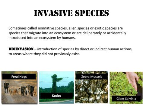 Ppt Invasive Species Powerpoint Presentation Free Download Id2526328