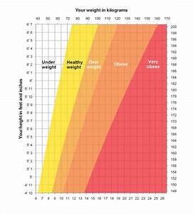 Height Weight Chart Template 11 Free Word Excel Pdf Format
