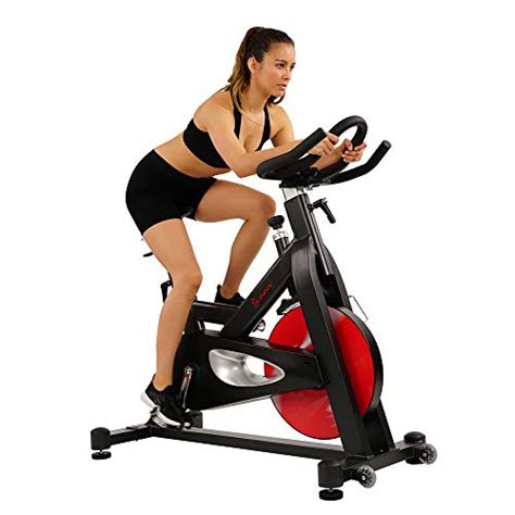 Subito a casa e in tutta sicurezza con ebay! Everlast M90 Indoor Cycle Reviews / Best Spin Bike Reviews And Indoor Cycle Comparisons For 2020 ...