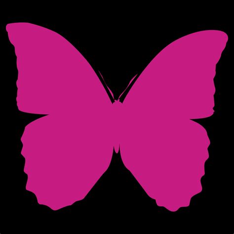 Butterfly Schmetterling Emotion Kostenlose Vektorgrafik Auf Pixabay