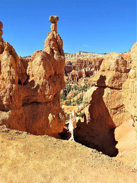 Free Photo Bryce Canyon Red Sandstone Hiking Utah Hippopx