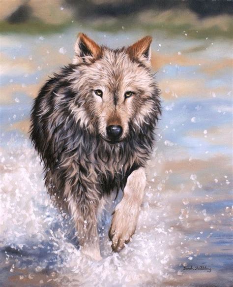 Sarah Stribbling Wildlife Art Gallery Wolf Spirit Animal Wolf