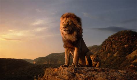 1600x900 The Lion King 1600x900 Resolution Wallpaper Hd Movies 4k