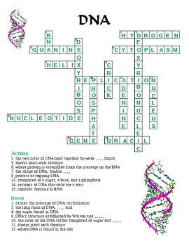 Word and logic puzzles are a wonderful way to engage the mind on lazy sunday mornings, and they're also useful educational tools for children. Crossword Puzzle - DNA (with Answer Key) by Michelle ...