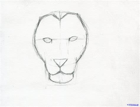 Más De 25 Ideas Increíbles Sobre Lion Face Drawing En Pinterest