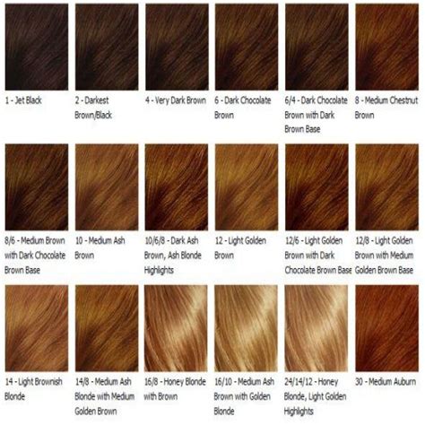 Image For Honey Brown Hair Color Chart Dark Chocolate Brown With Dark