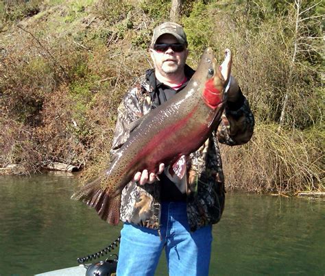 Forever Fishing Washington State Trout Anyone