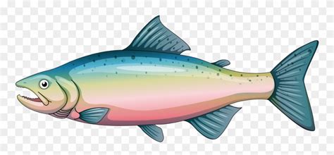 Яндекс Фотки Cartoon Rainbow Trout Clipart 1025125 Pinclipart