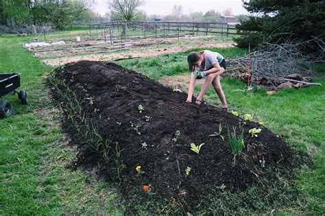 Step By Step Guide For Building A Hugelkultur Garden Bed Sunshine Farm