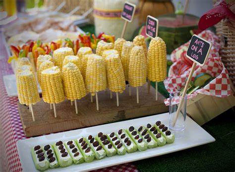 A Party Style Picnic Party