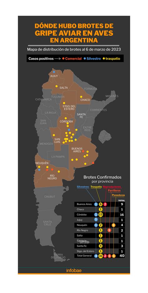 El Mapa De La Gripe Aviar En La Argentina Se Detectaron 40 Focos En Aves En 10 Provincias Infobae