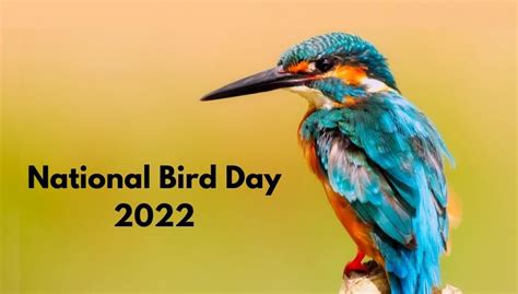 Five Grants To Celebrate National Bird Day