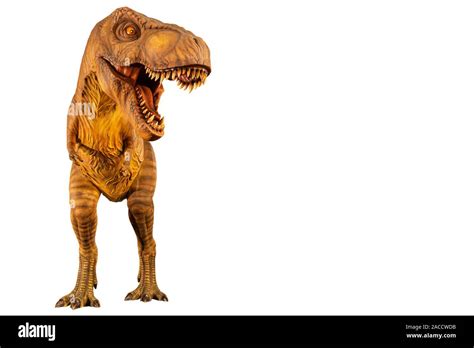Tyrannosaurus Rex T Rex Is Walking And Open Mouth And Copy Space On