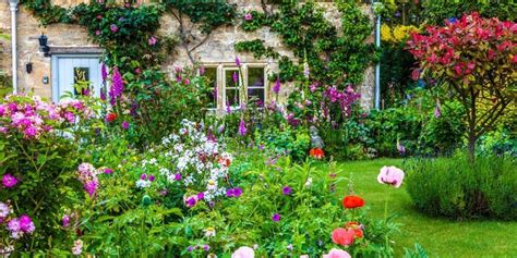 36 Best Plants For A Cottage Garden And Design Ideas