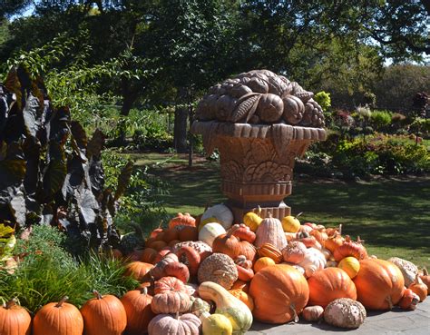 Fall Festival At The Arboretum