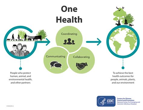 One Health A Multi Dimensional Approach To Health Public Health