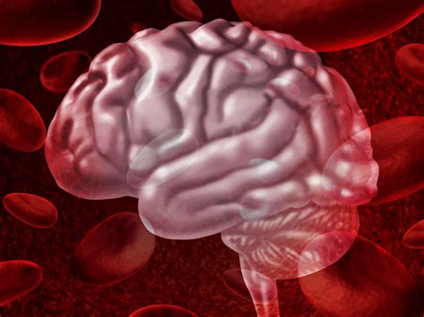 Blood Stem Cells Treat Brain Disease After Transplant Impact Lab
