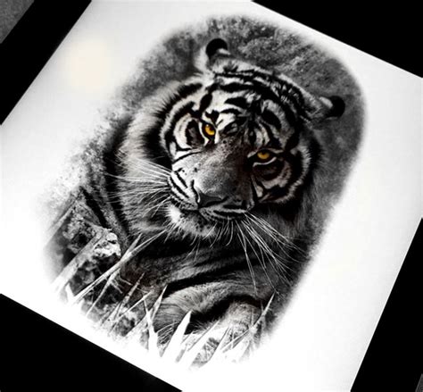 Realistic Tiger Tattoo Design Done In Black And Grey By Brandon Marques
