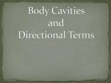 Ppt Body Cavities And Directional Terms Powerpoint Presentation Free Download Id 2712140