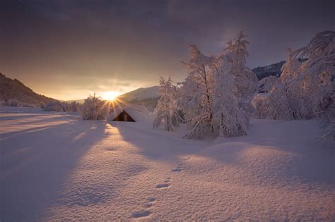 Winter Sun By Downphoto On 500px