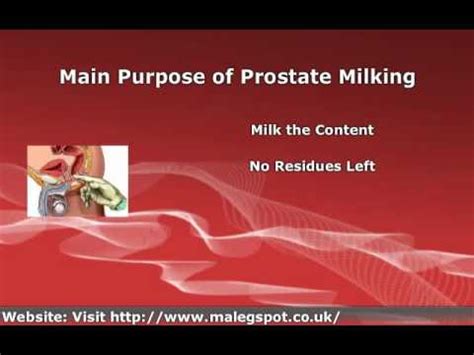 Prostate Milking Explained Its Health Benefits YouTube