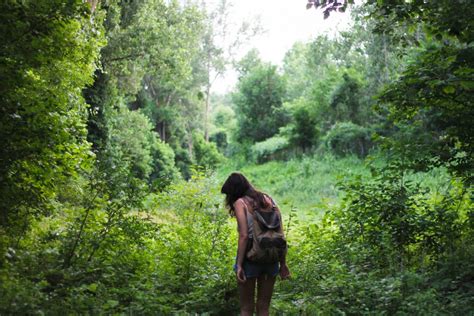 無料画像 木 森林 荒野 歩く トレイル 冒険 ハイカー 女性 緑 ジャングル パブリックドメイン 植生 雨林 生息地 古い成長林 自然環境