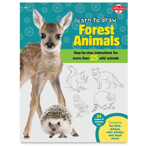 Learn To Draw Forest Animals Blick Art Materials