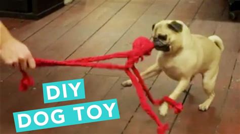 Diy Dog Toy Out Of Old T Shirt Nailed It We Are All About Crafts