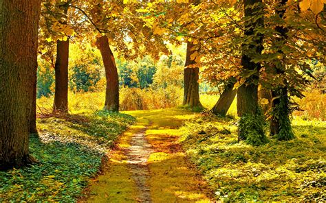 Autumn Landscape Images Hd Desktop Wallpapers 4k Hd