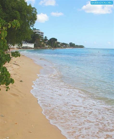 tranquil prospect beach on the west coast of barbados barbados beaches हमारे ब्लॉग में अधिक