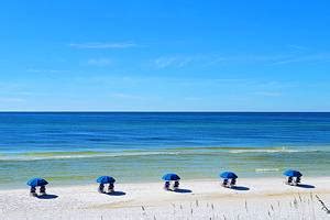 Top Rated Attractions Things To Do In Panama City Beach FL PlanetWare