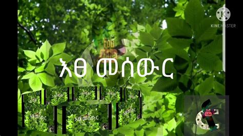 የጥበብ እፅ አንዷ እፀ መሰውር Youtube