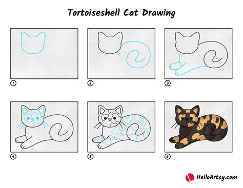Tortoiseshell Cat Drawing Helloartsy