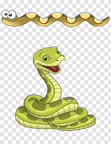 Snake Green Anaconda Clip Art Photography Cartoon Transparent Png
