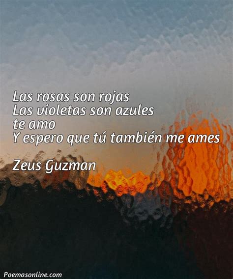 Cinco Mejores Poemas Rosas Rojas Para Ti Poemas Online