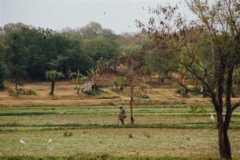 Myanmar Farmer Meikitla Myanmar Adam Cohn Flickr