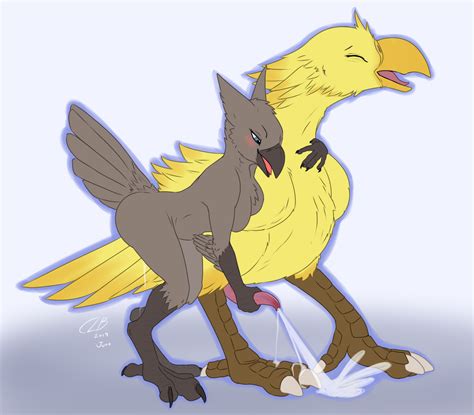 Rule 34 Anthro Anthro On Feral Avian Beak Bird Bodily Fluids Breasts Chocobo Clb Cum Cumshot