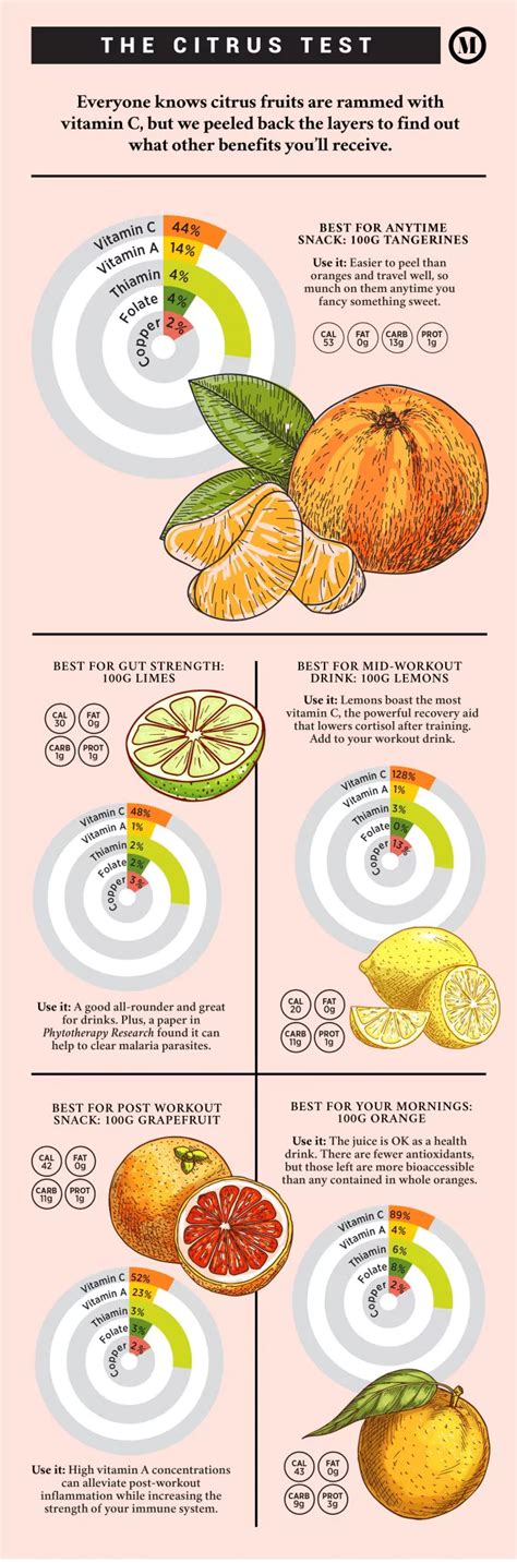 When And Why Should You Be Eating Citrus Fruits 22 Useful