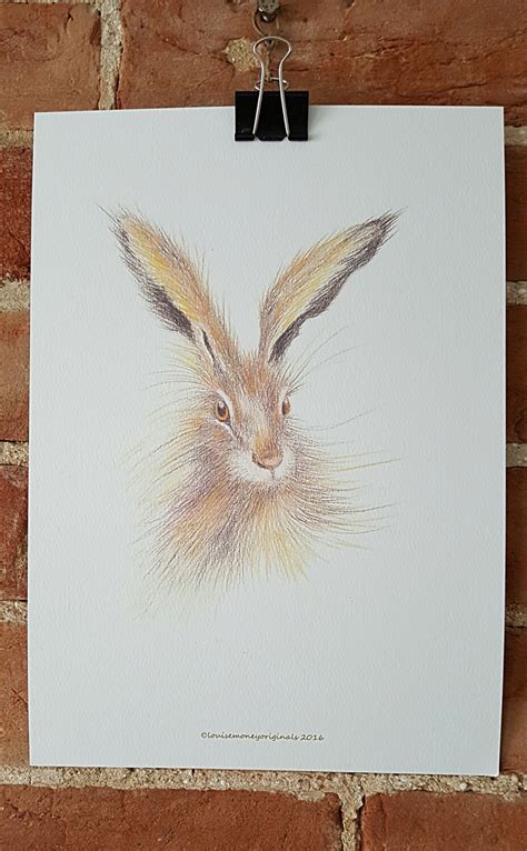 Hare A4 Print Hare Sketch Hare Drawing Norfolk Hare Etsy Uk