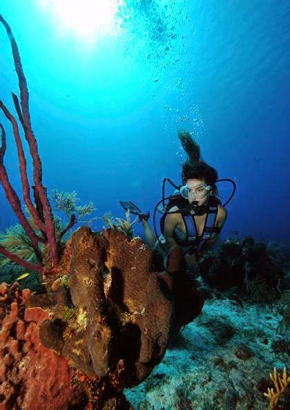 Scuba Diving Phuket Similan Islands Phuket Thailand Similan