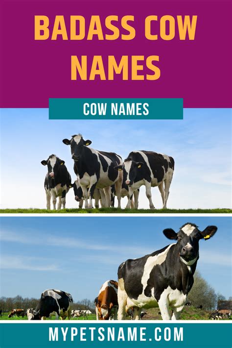 Cow Names A Z Of 150 Marvelous Moonderful Names For Cows Artofit