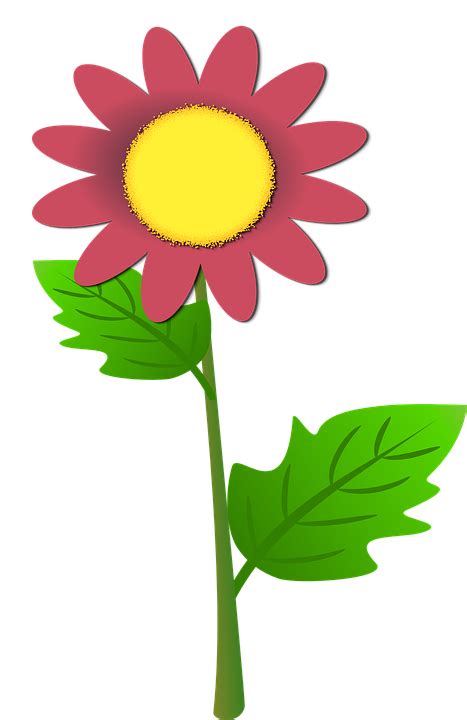 Inspirasi 30 Animasi Gambar Tanaman Bunga