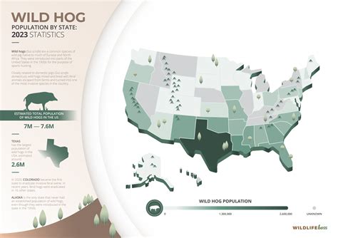 Wild Hog Population By State 2023 Trends Statistics