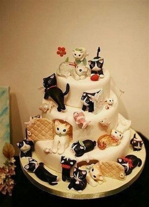 Cute cakes animal cakes cat birthday cake designs birthday cat cupcakes cupcake cakes. 1000+ images about Cat Cupcakes and Cakes on Pinterest ...