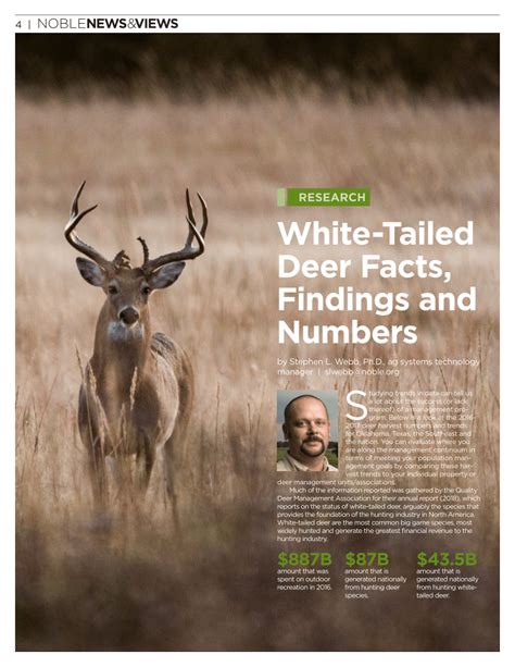 Pdf White Tailed Deer Facts Findings And Numbers