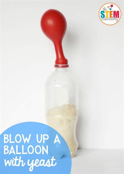 Inflate A Balloon With Yeast Experiment Balloon Science Experiments Cool Science Experiments