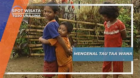 Mengenal Tau Taa Wana Suku Pedalaman Tojo Una Una Sulawesi