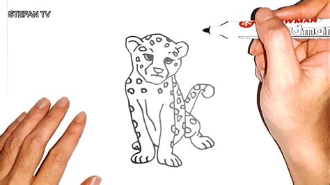 Draw a baby cheetah, baby cheetah, step by step, drawing. How to draw Cheetah Cute and Easy for kids | Cheetah ...